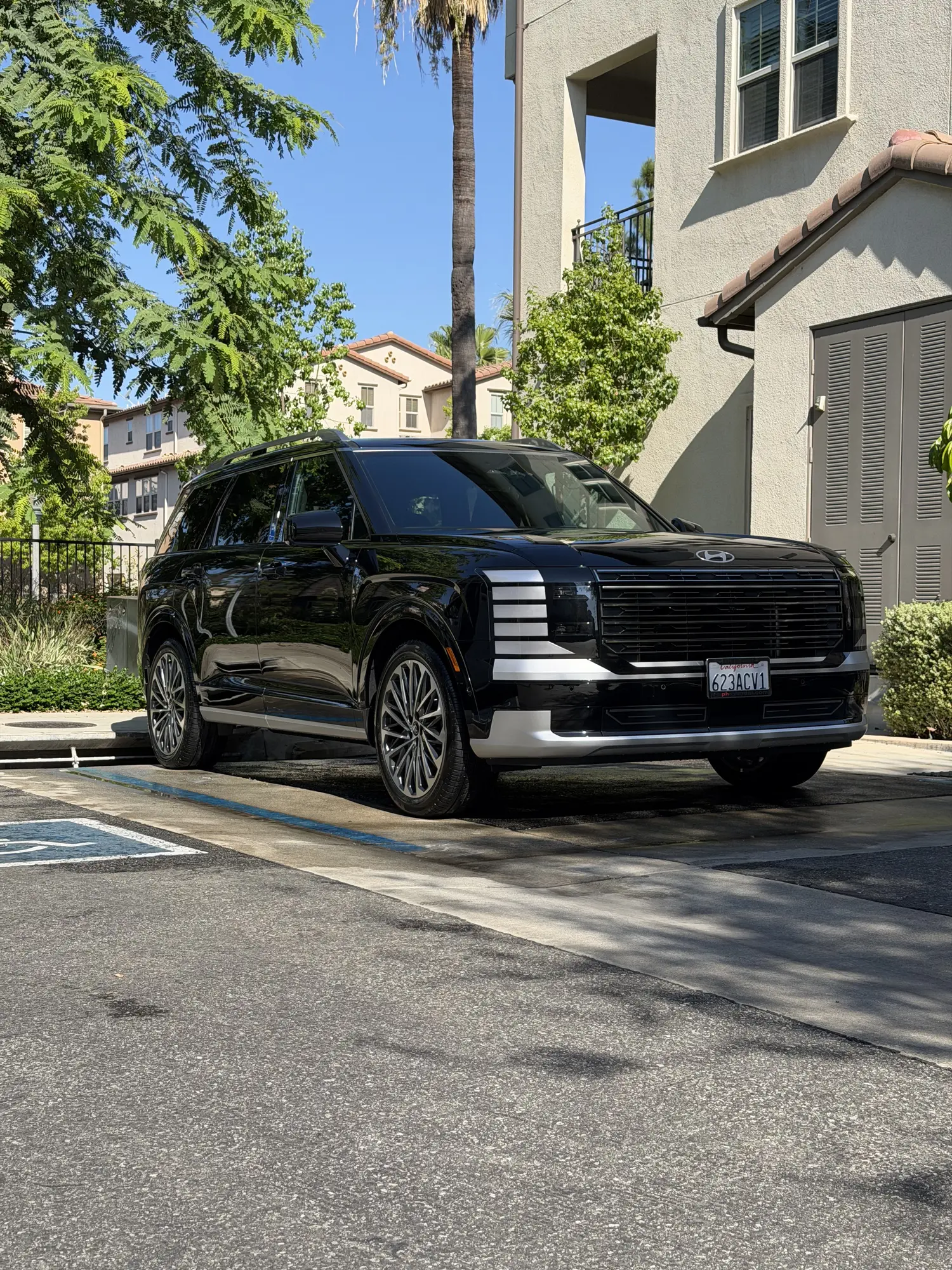 Black Hyundai Santa Fe detailed at a home