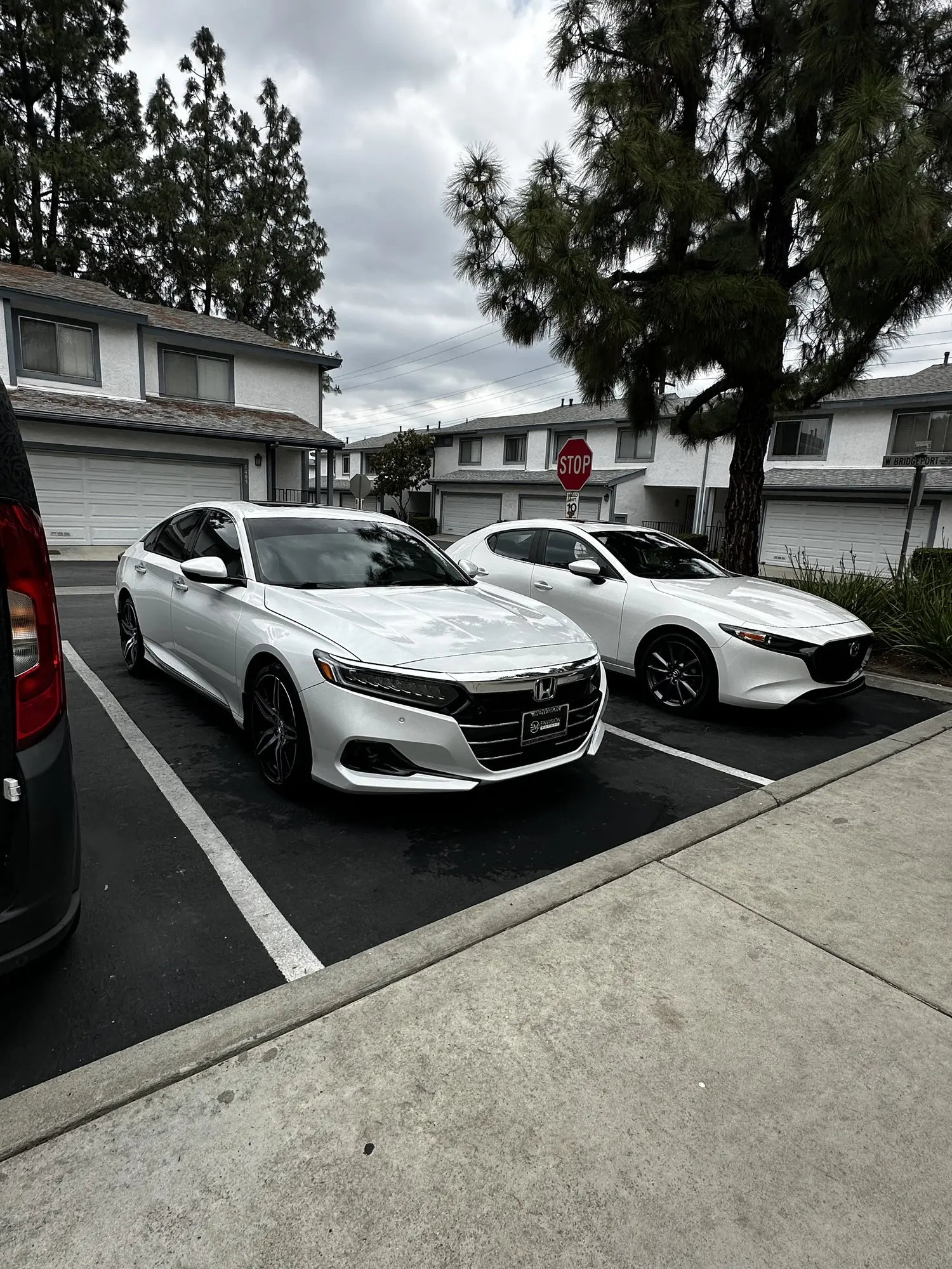 Two white sedans detailed in a parking lot
